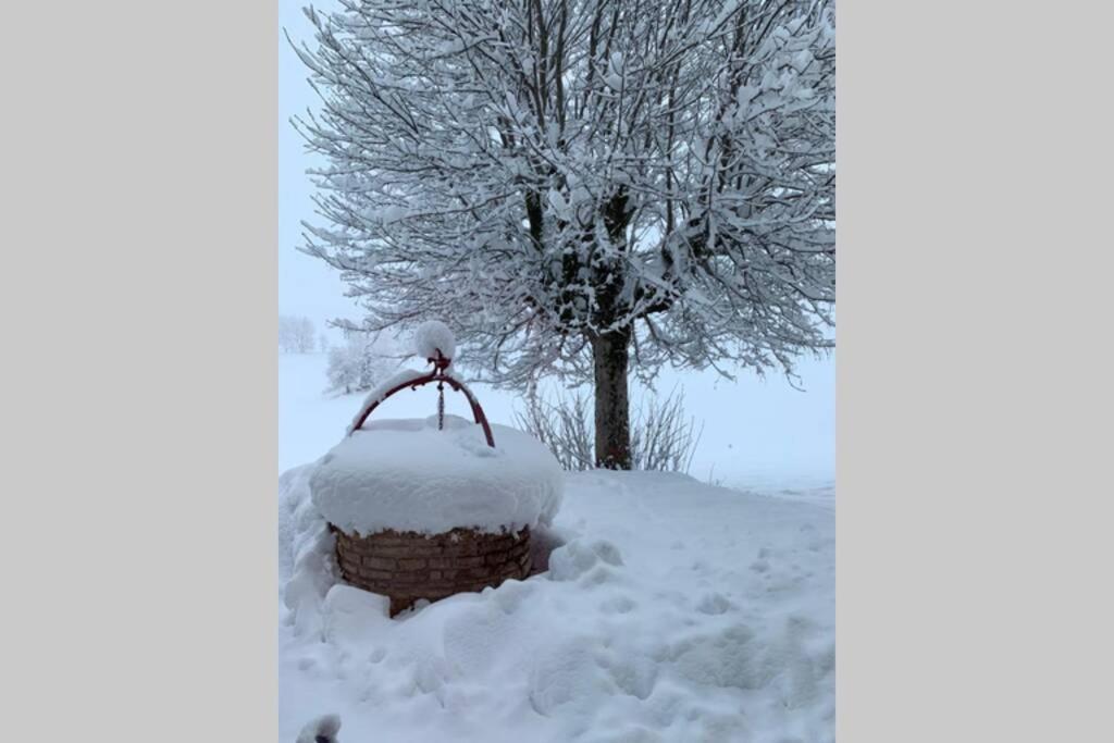 T2 tout confort, départ ski de fond depuis le jardin Apartamento Les Rousses Exterior foto