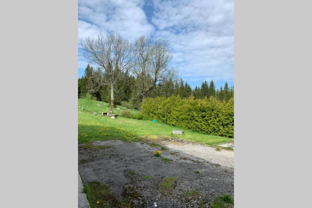 T2 tout confort, départ ski de fond depuis le jardin Apartamento Les Rousses Exterior foto